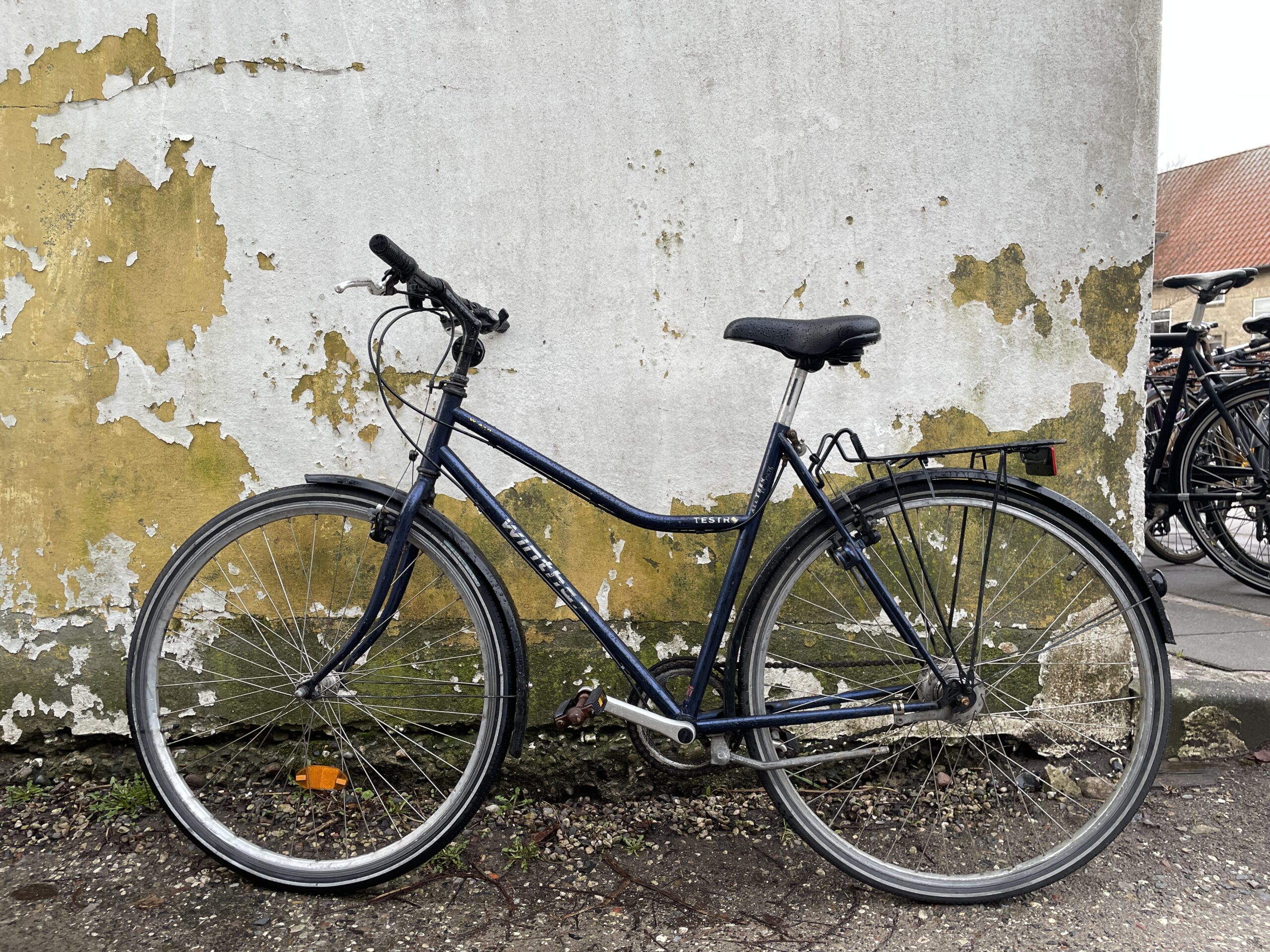 Winther Dame Citybike